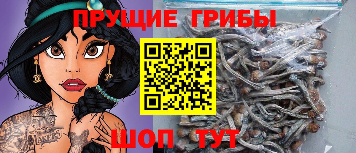 Галлюциногенные грибы мицелий Кувандык