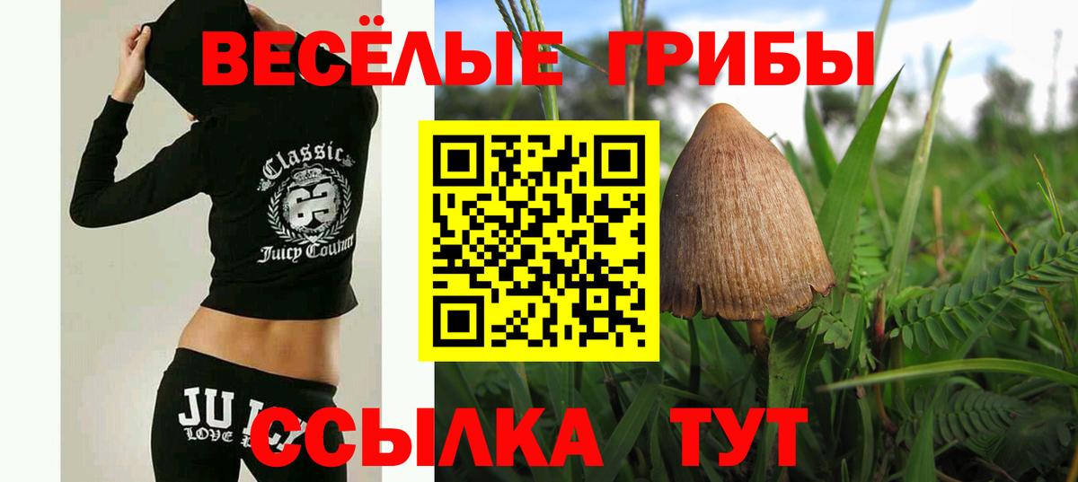 Псилоцибиновые грибы Psilocybe  Вход с VPN  Кувандык 